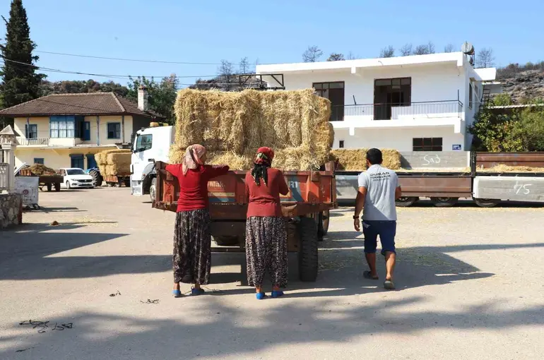 Aksu’da yangından etkilenen bölgelere saman desteği

