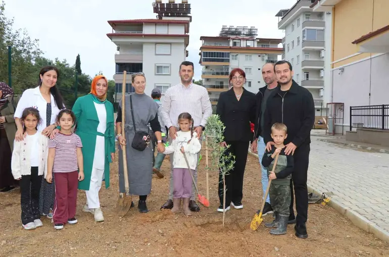 Alanya’da minik eller zeytin fidanlarını toprakla buluşturdu
