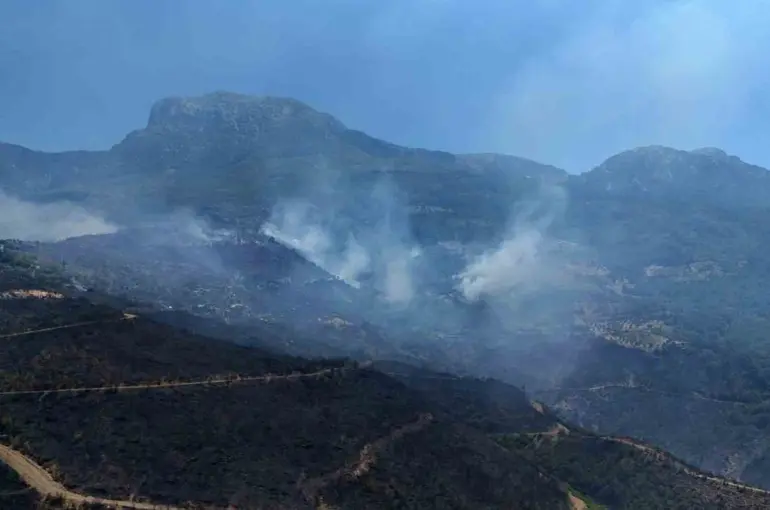 Alanya’daki orman yangınında mücadele ikinci gününde: Bölge dron ile görüntülendi
