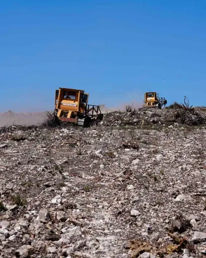 Aliağa ve Foça’daki yanan orman alanlarında ağaçlandırma çalışmaları sürüyor
