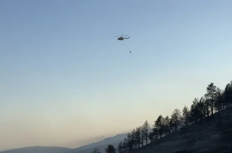 Ankara-Çankırı sınırındaki orman yangını 60 personel ve 14 aracın müdahalesiyle söndürüldü
