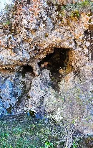Anne ayı ve yavruları inlerinde dron kamerasıyla görüntülendi

