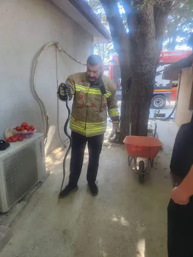 Antakya’da eve giren yılan ekipler tarafından yakalandı
