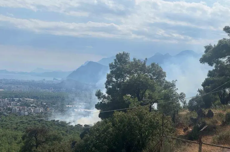 Antalya’da orman yangını
