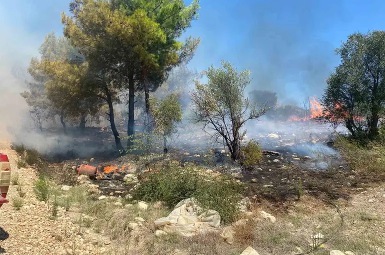 Antalya’da  zirai alanda çıkan yangın büyümeden söndürüldü
