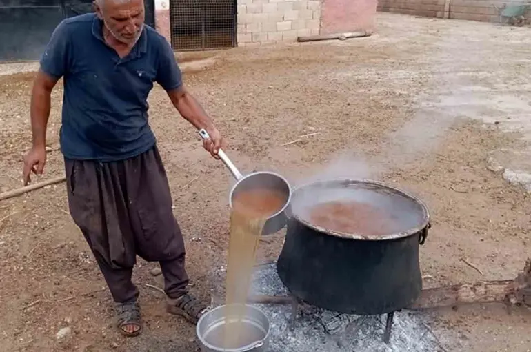 Araban’da gün pekmezi yapımına başlandı
