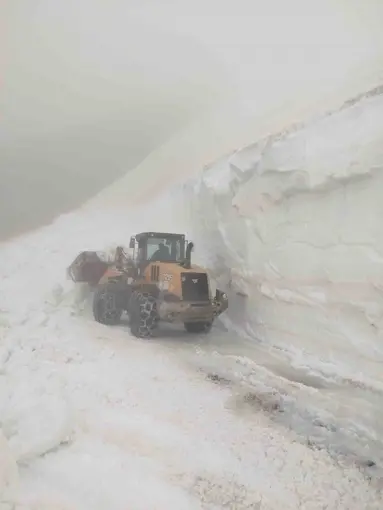Artvin’de haziran ayında kar mesaisi
