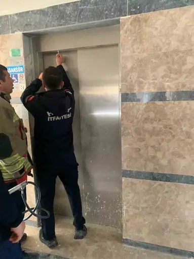 Asansör boşluğuna düşen yavru kediyi itfaiye kurtardı
