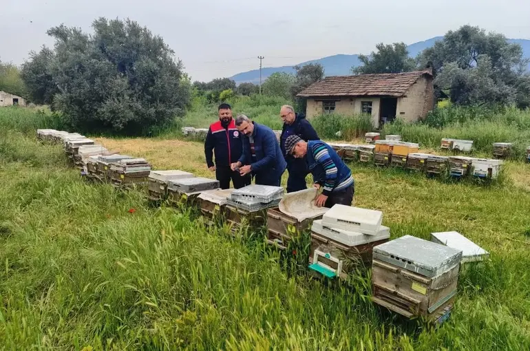 Aydın’da ana arı üretim kovanları denetlendi

