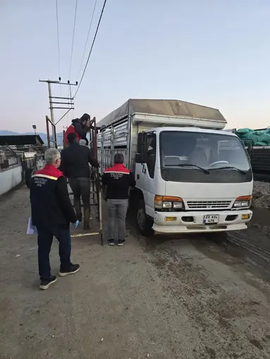 Aydın’da hayvan pazarında sıkı denetim
