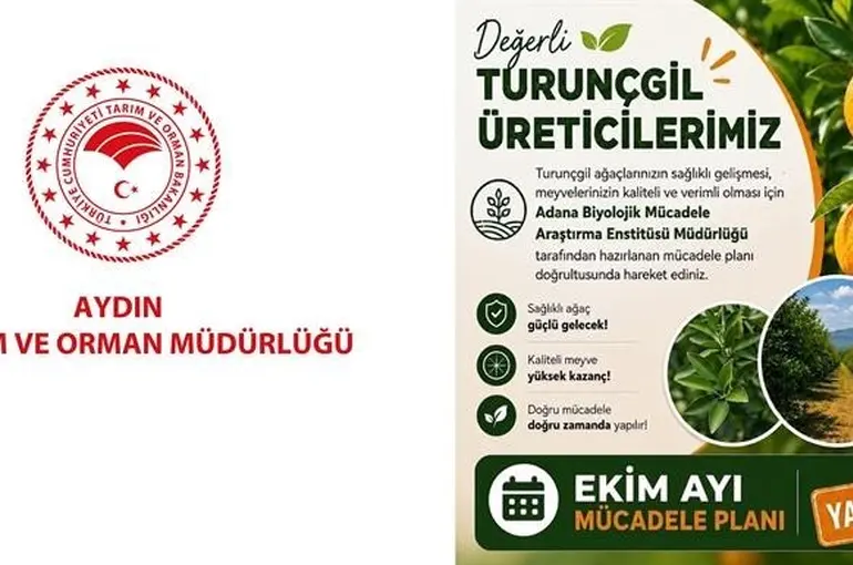 Aydın’da turunçgil bahçeleri için Ekim ayı mücadele planı açıklandı
