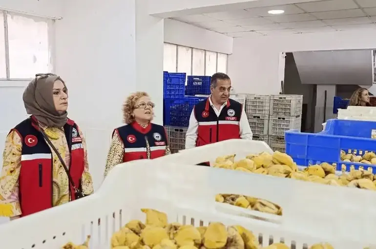 Aydın’ın sarı altını incir için denetimler sıklaştırıldı
