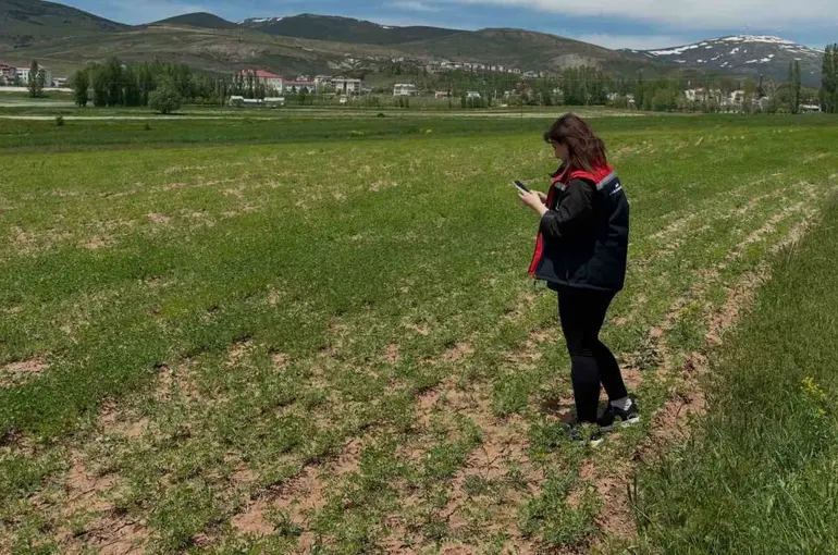 Aydıntepe’de ürün tespit çalışmaları sürüyor
