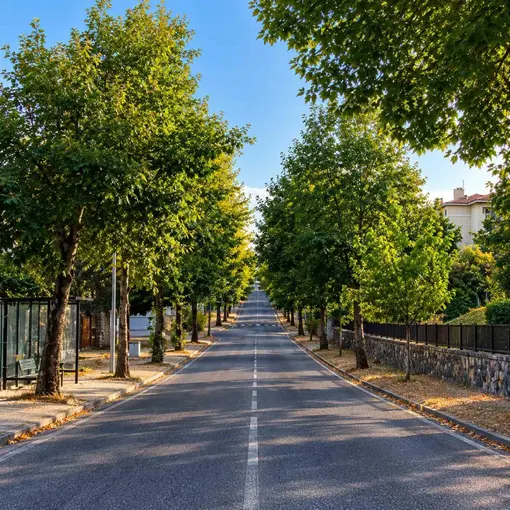 Aynı nokta 4 mevsim
