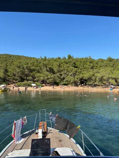 Ayvalık’ta ormanlara giriş yasak ama denetim yetersiz
