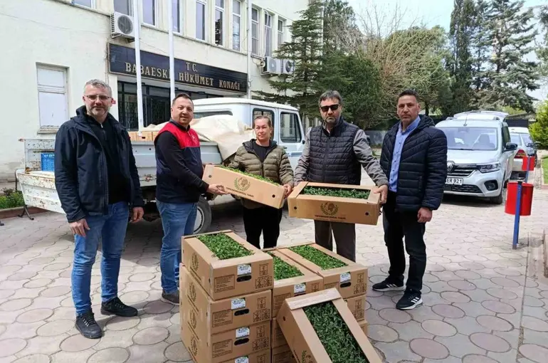 Babaeski’de üreticiye 2 bin kırmızı domates fidesi verildi
