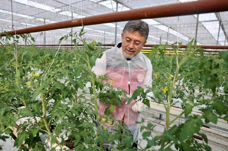 Bakan Yumaklı’dan Erzincan’da jeotermal sera mesajı
