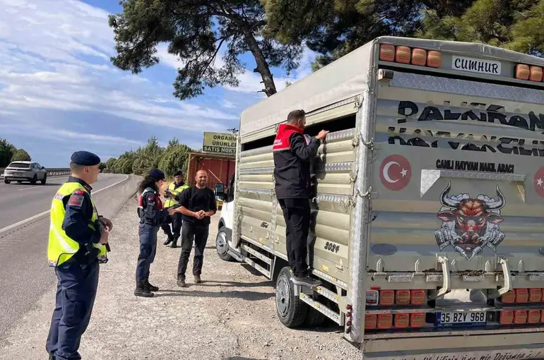 Balıkesir’de canlı hayvan nakillerine yönelik yol kontrolleri gerçekleştirildi
