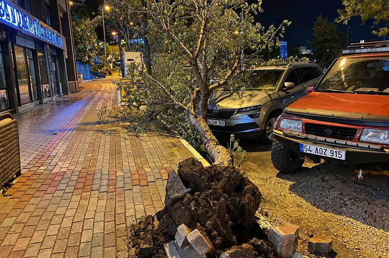 Bandırma’da fırtınada kökünden sökülen ağaç aracın üzerine devrildi
