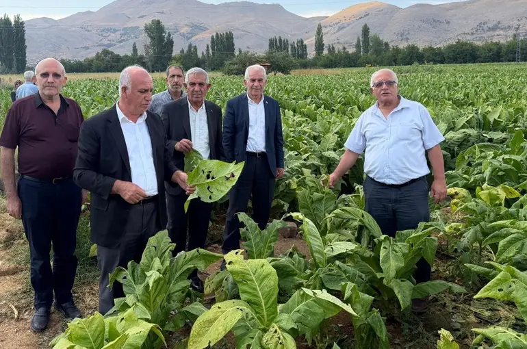Başkan Özkan: "Çelikhan’da dolu yağışı tütün üreticilerini vurdu"
