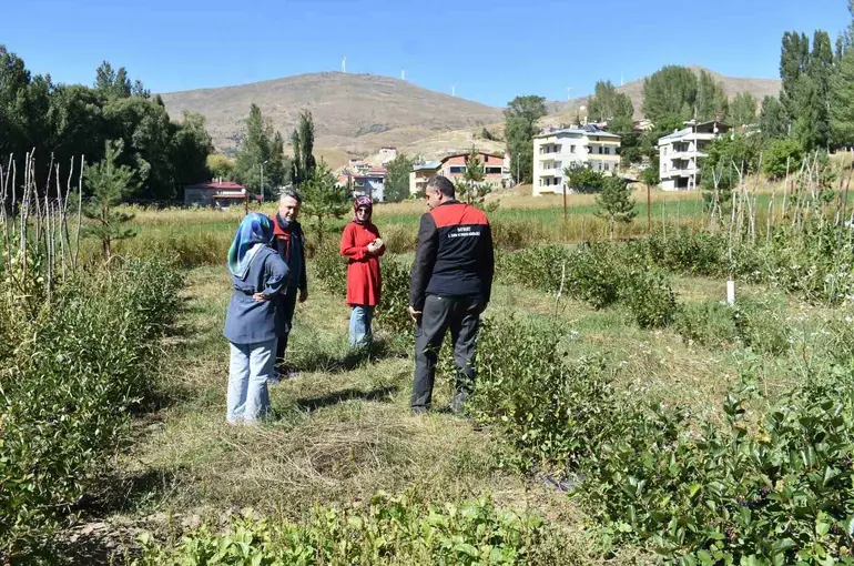 Bayburt’ta aronya üretimi yapan çiftçiye ziyaret
