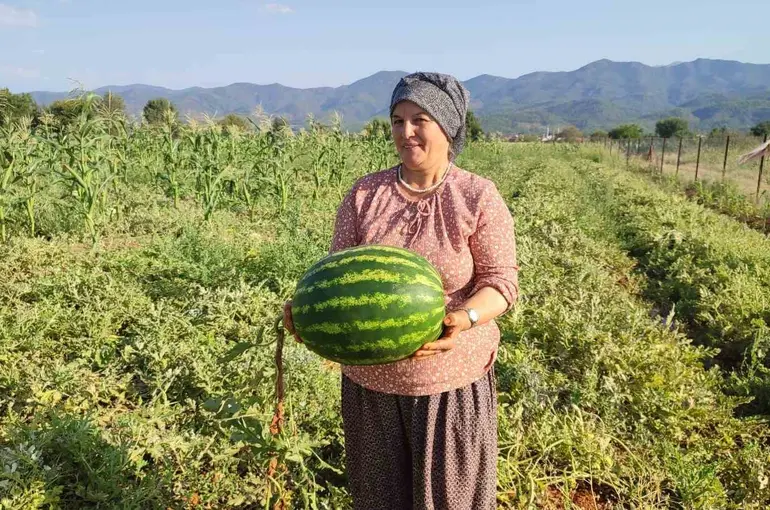 Beyağaç’ta ata tohumundan gelen bereket
