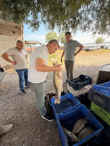 Beyşehir Gölü’nde avlanan balıklar tek tek kontrol edildi
