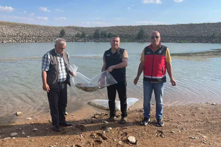 Beyşehir ve Hüyük’ün göletlerine balık bırakıldı

