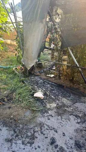 Bilecik’te çalılık yangını büyümeden söndürüldü
