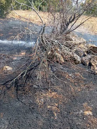 Bilecik’te köy yakınında ot yangını
