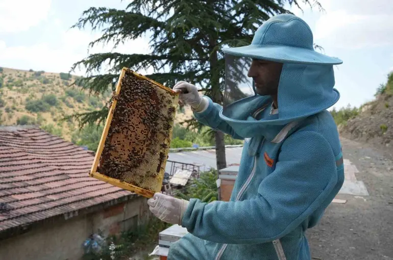 Bin 200 çeşit endemik bitki türüyle 4 kuşaktır süren gelenek: Kanyon balında 4 tonluk rekolte
