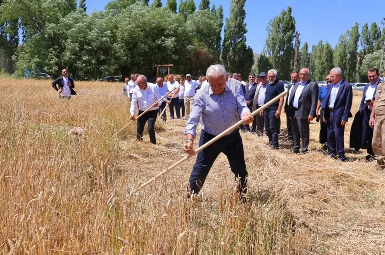Binali Yıldırım Harman Şenliği’nde tırpan salladı
