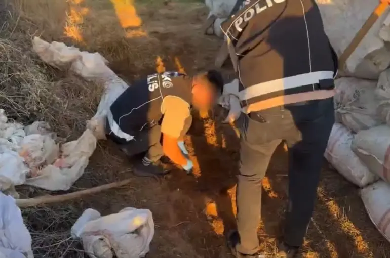 Bingöl’de 4 kilo 450 gram esrar ele geçirildi

