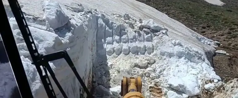 Bingöl’de ilginç görüntü: Yazın ortasında; bir yanda kar, diğer yanda sıcaktan bunalan inekler
