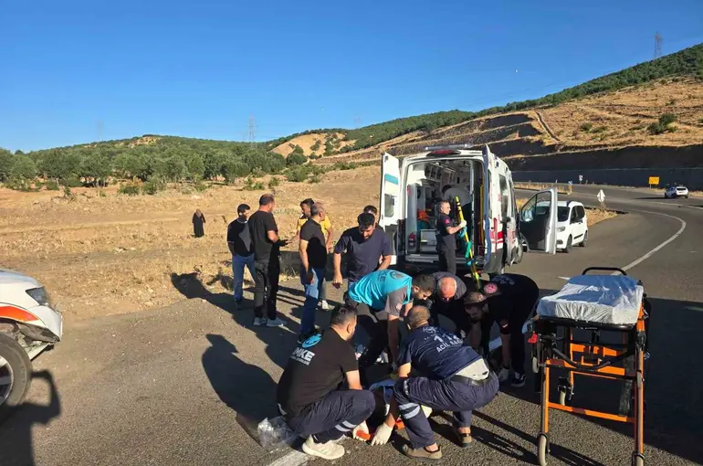 Bingöl’de kamyonet şarampole yuvarlandı: 3 yaralı
