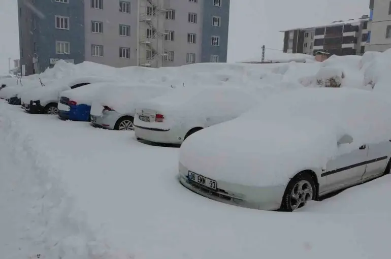 Bitlis’te mart karı 288 köy yolu ulaşıma kapattı
