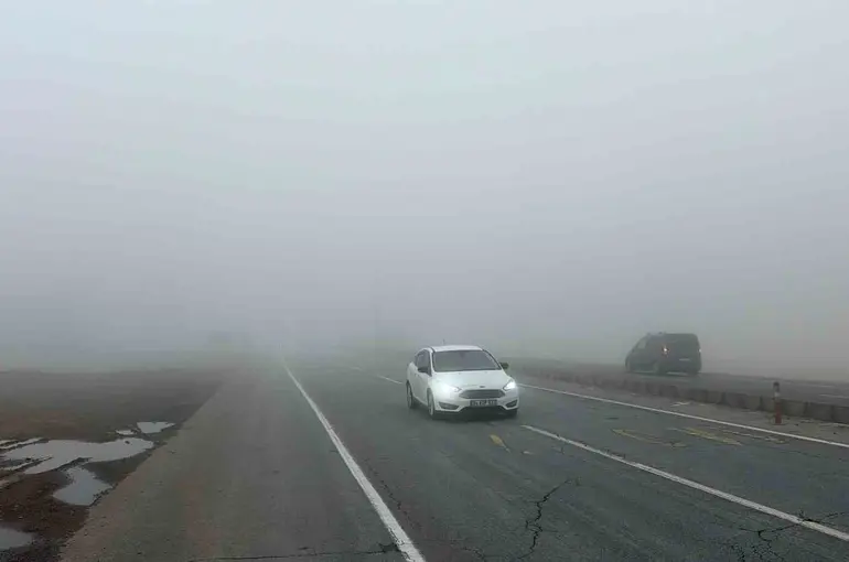 Bitlis’te yoğun sis etkili oldu
