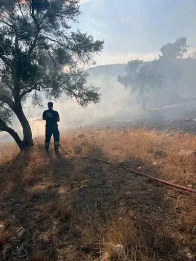 Bodrum-Milas karayolu üzerinde ot yangını
