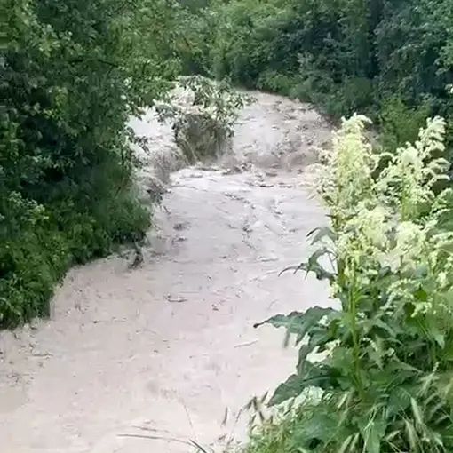 Bolu’da dereler taştı, tarım arazileri sular altında kaldı
