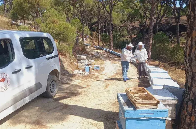 Bozdoğan’da arılı kovan desteği için sahada tespit çalışması
