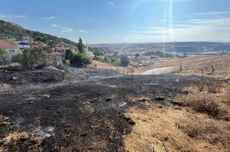 Bozüyük’te otluk yangını
