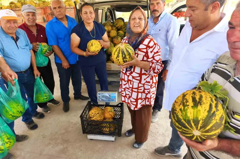 Bu kavun tek damla su verilmeden yetişiyor
