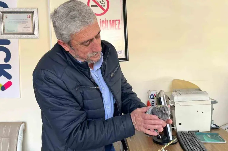 Bünyan’da çatıdan düşen kuş, yuvasına kavuşturuldu
