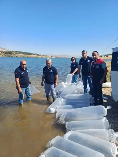 Burdur’da göl ve göletler yavru sazanlarla buluştu
