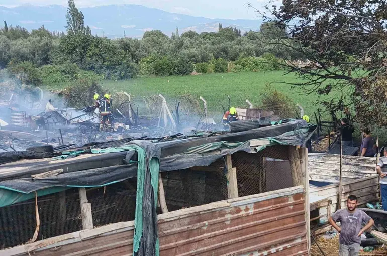 Burhaniye’de ahır yangını paniğe neden oldu
