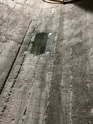 Burhaniye’de çıkılmayan minareler kargalara mesken oldu
