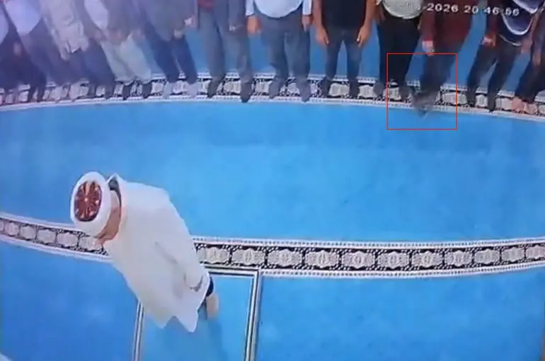 Camide kediyi tekmeleyen şahıs gözaltında, hayvan severler kediyi arıyor
