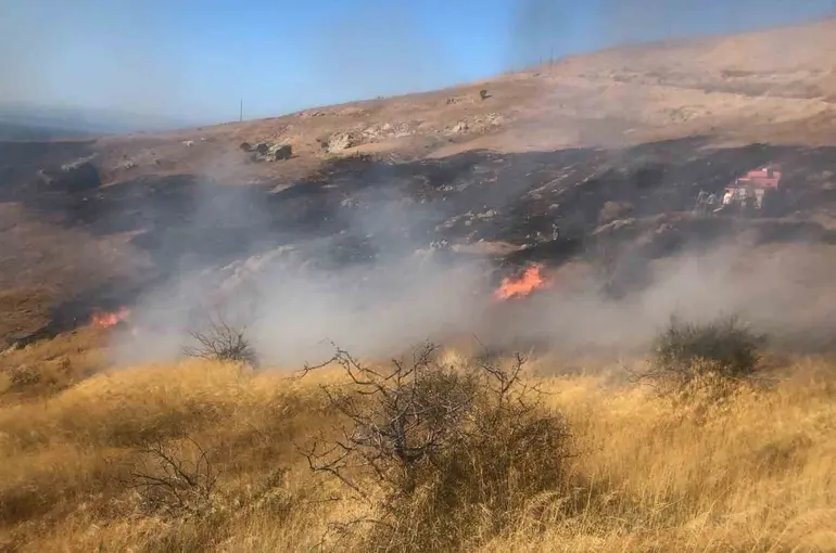 Çanakkale’de otluk alanda yangın
