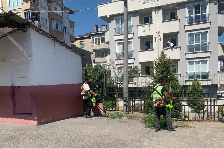Çayırova’da okullar yeni eğitim yılına hazırlanıyor
