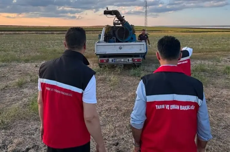Çekirge üreme alanları ilaçlandı
